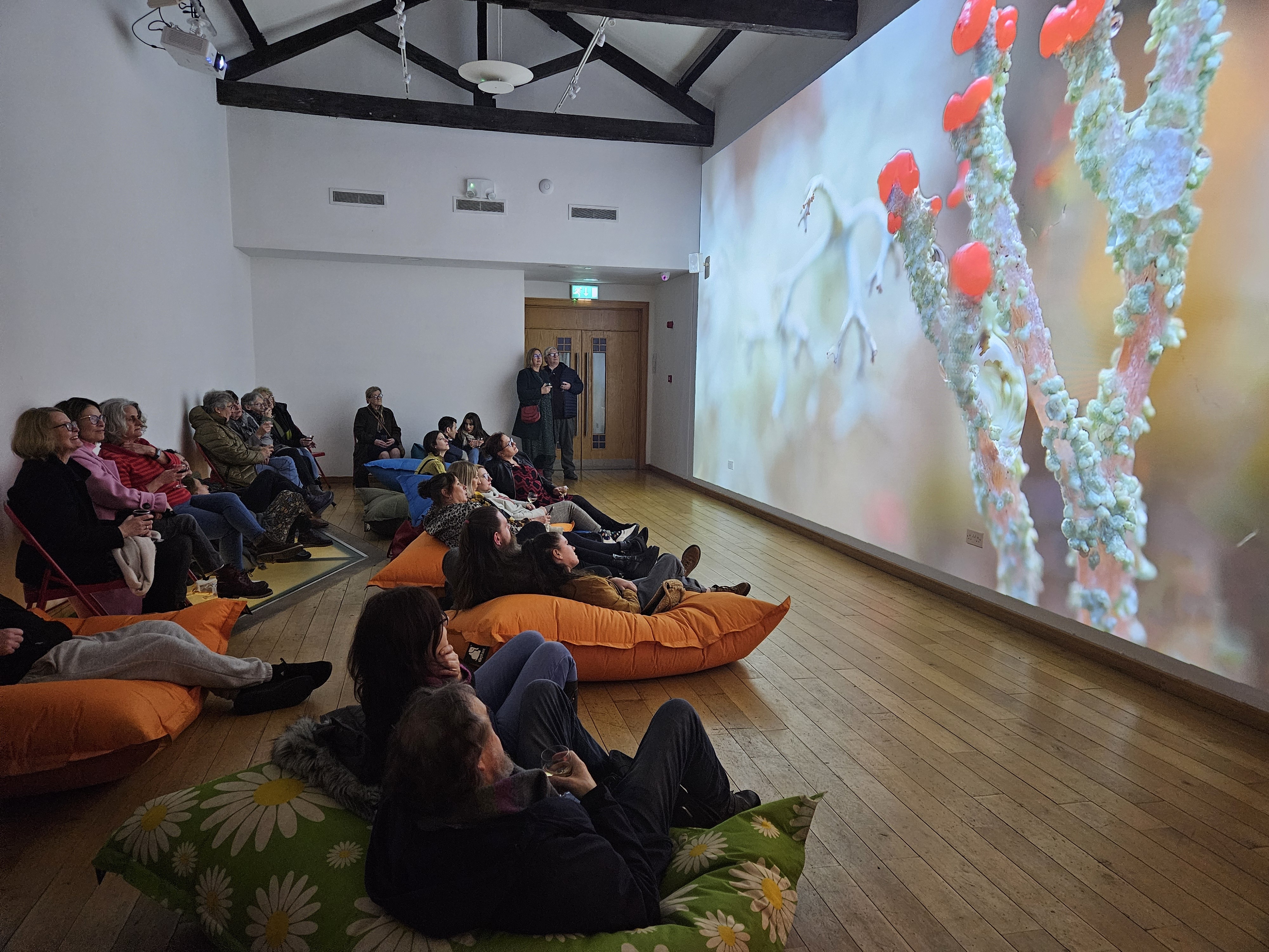 Our Gallery with a large projected image taking up one wall. People are sitting on beanbags to watch.