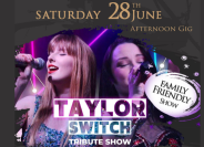 Taylor switch tribute band Website Image Template 600 x 400px