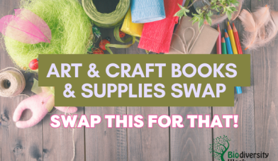 Art craft and book swap