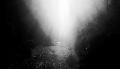 Riverine Film photo The Shaking Bog